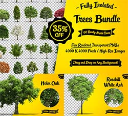 59张高清透明的树木图片：Fully Isolated Trees Bundle - 60 pcs